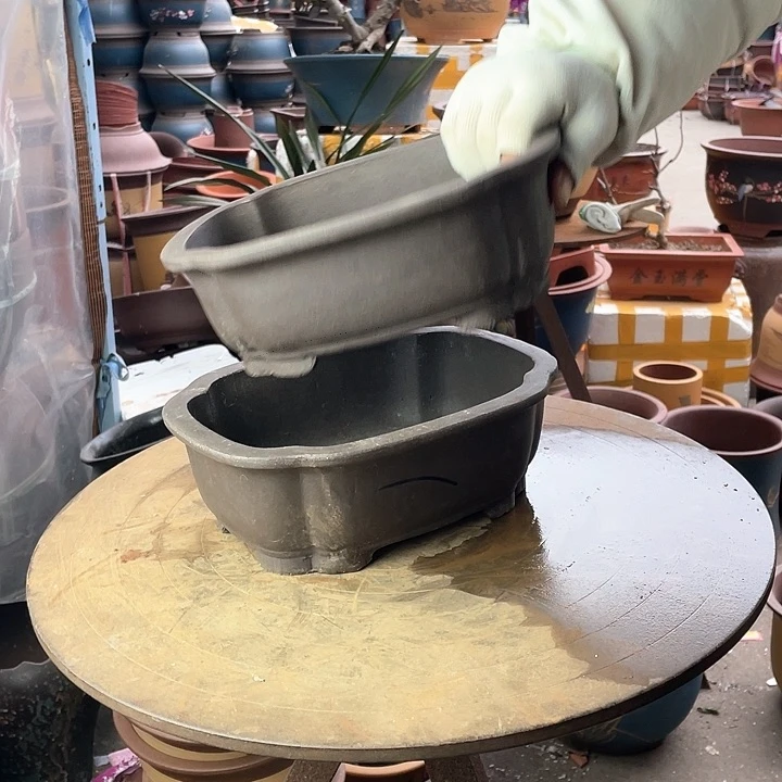 紫砂24/24海棠花盆华