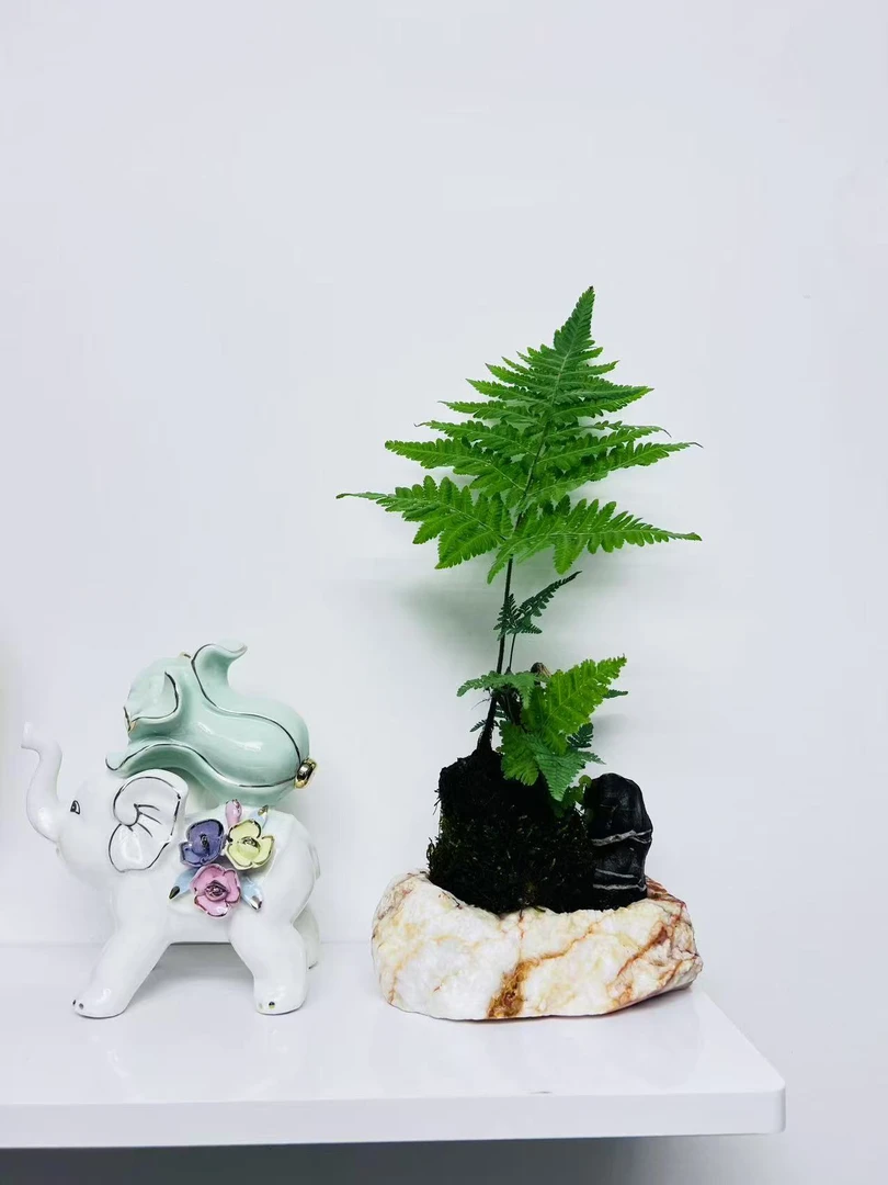 灵璧奇石花盆石，大自然的鬼斧神工