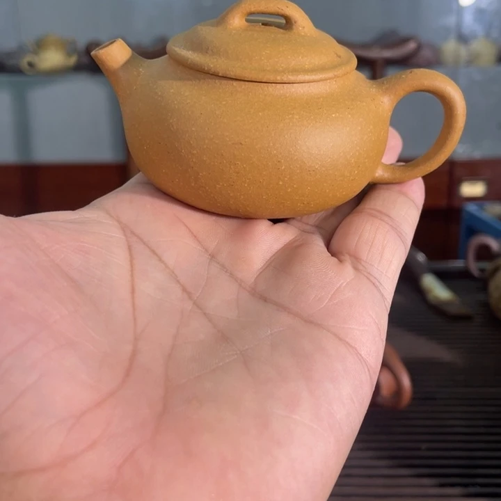 茶壶紫砂哈哈哈哈哈我真的是一种习惯