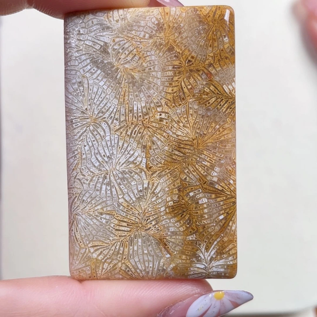 【闪购商品】硅化玉吊坠(赠链)未镶嵌