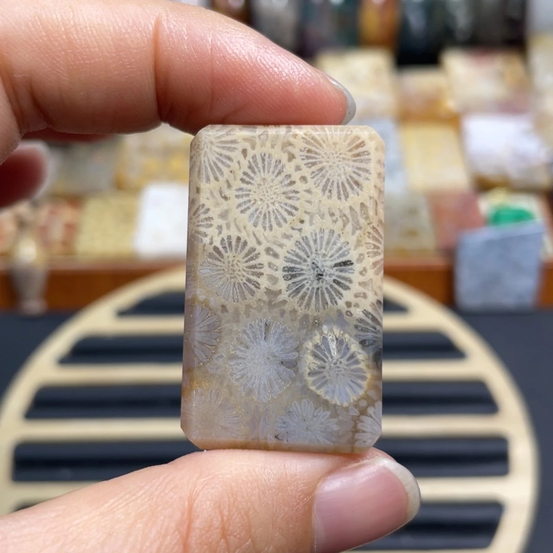 硅化玉未镶嵌颈饰k60
