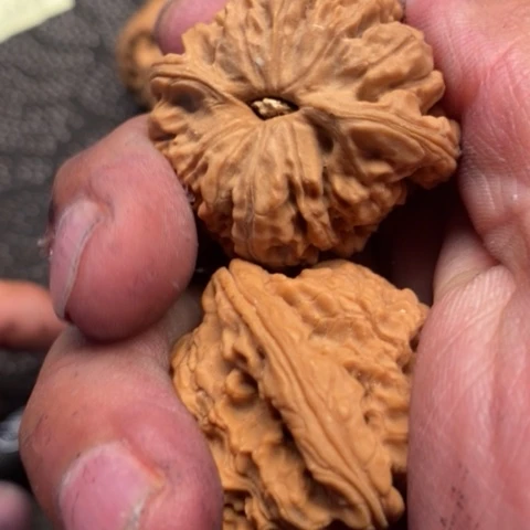 文玩核桃把件南疆20