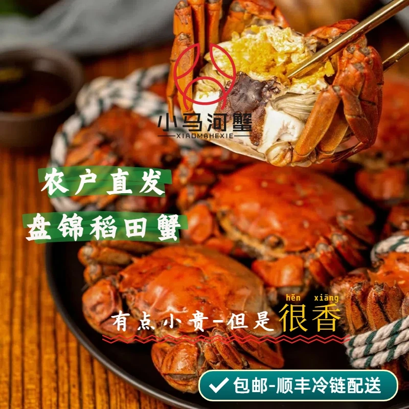 QX【活蟹】盘锦河蟹（1.0-0.8）两 母蟹30只 鲜活发货 顺丰包邮