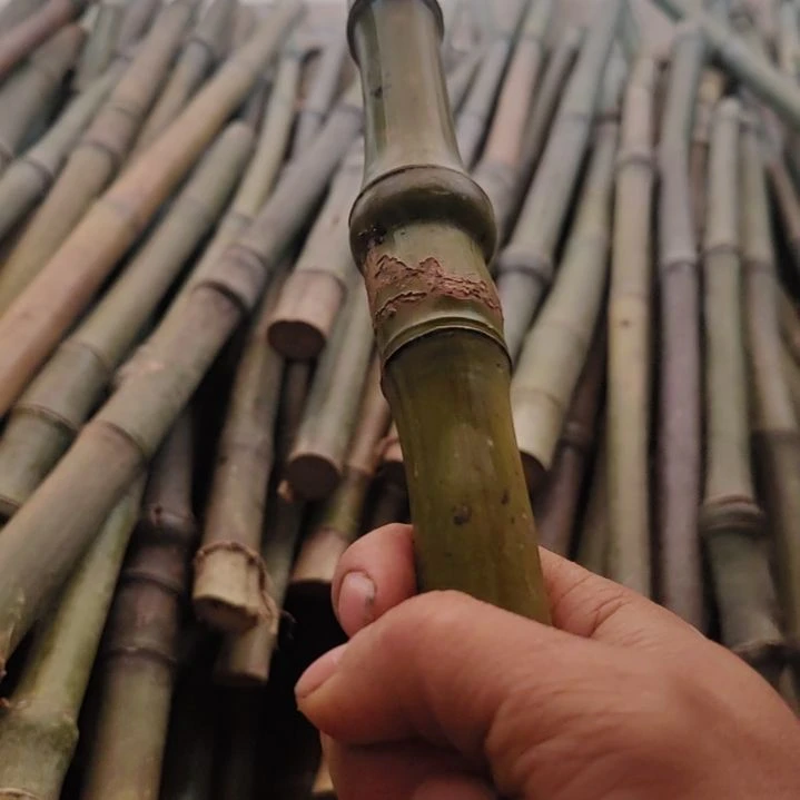 猴***ꪝ发发发发发发发发