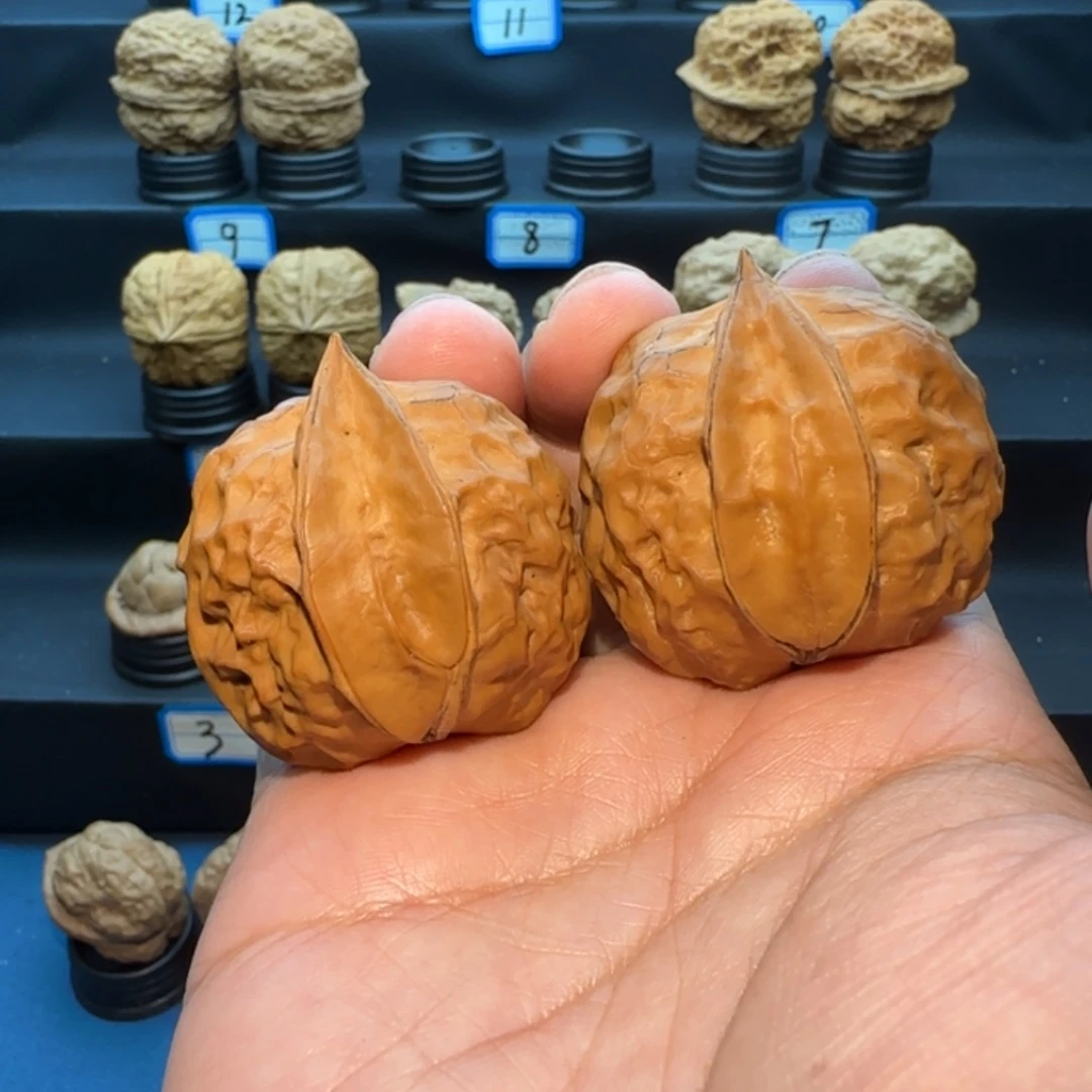 ～***~桃核把件生命之源