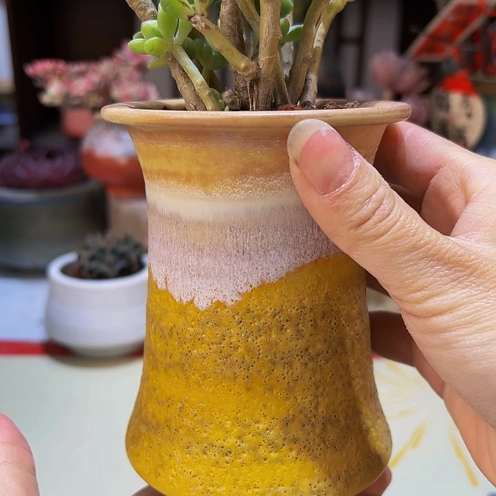 景德镇陶瓷2单包邮