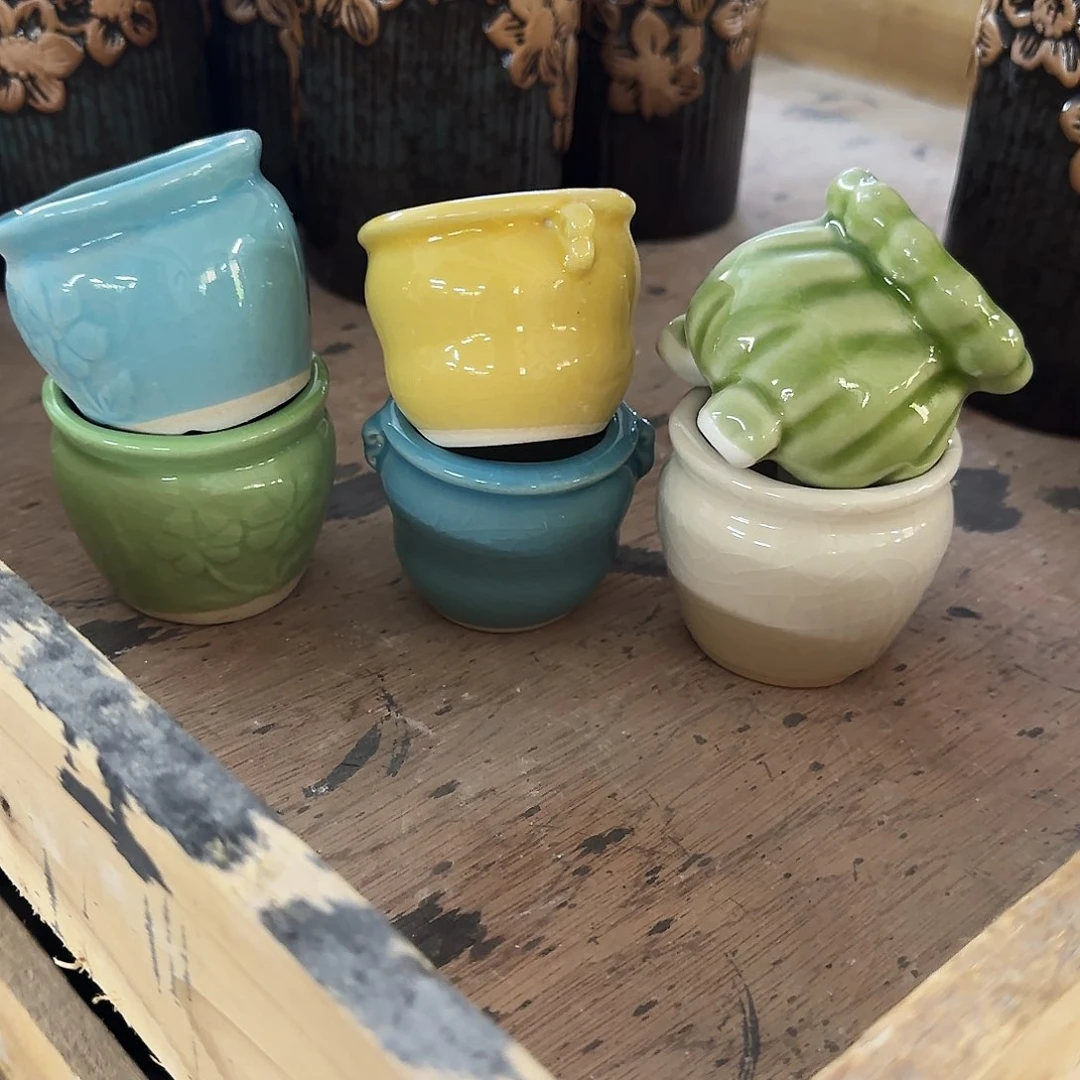 6个福利局［凑9元包邮24小时发］