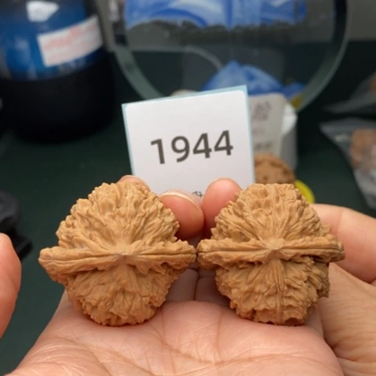 文玩核桃把件唯**彩39三角白1944