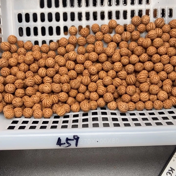 如***＂桃核吊坠散发散籽，380颗，1450米