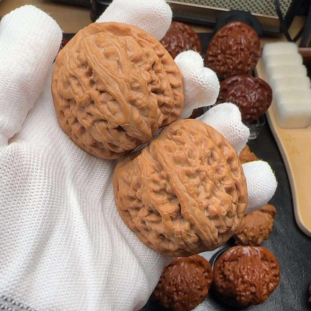 小冉核桃全品红锦鲤43