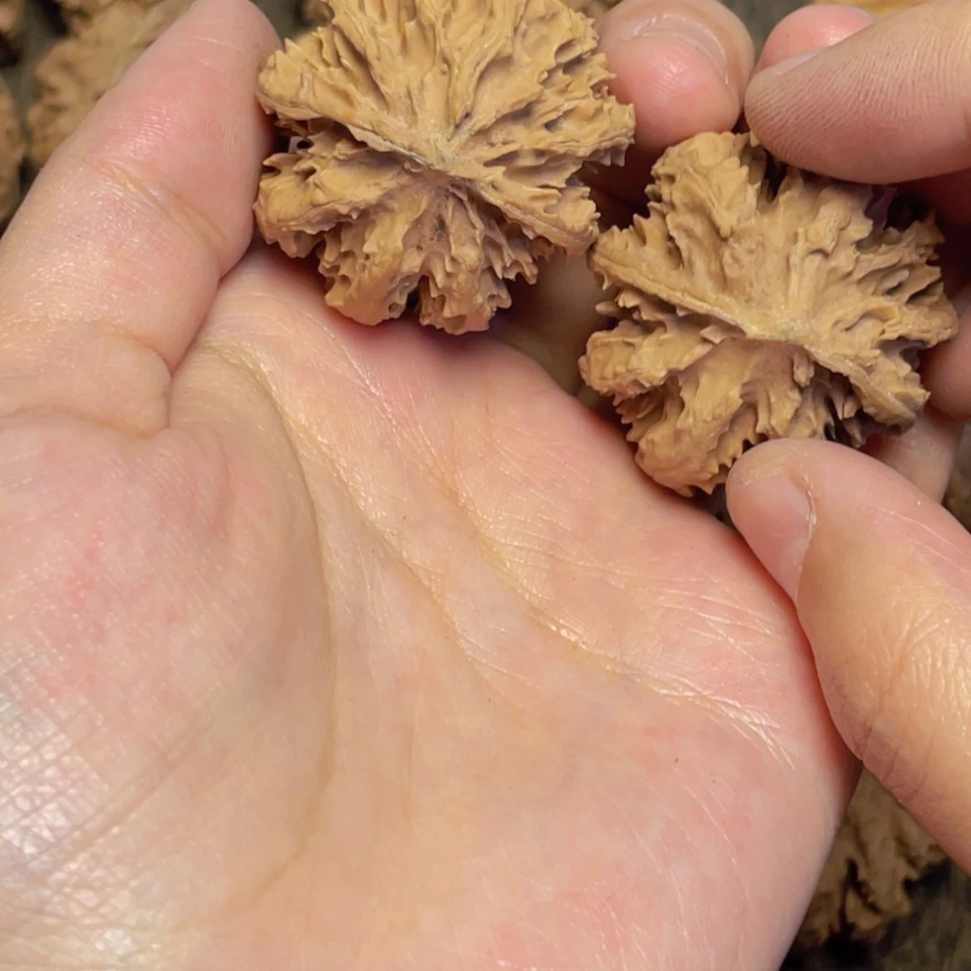 桃核把件8 秦岭灯笼野生小众