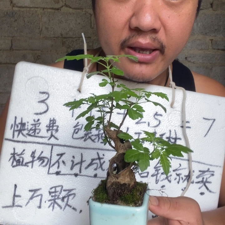 退款拉黑一物一拍102