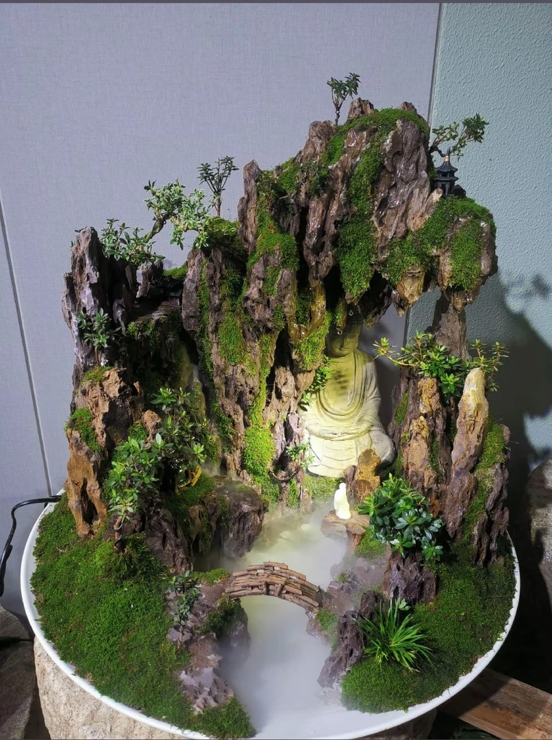 微盆,雨林造景素材