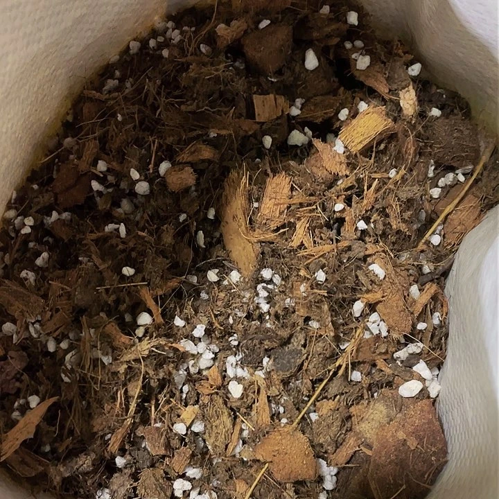 法师专用养护01号