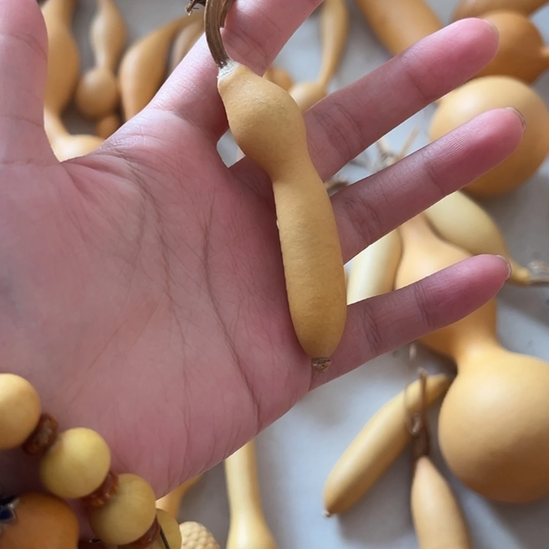 漂亮又可爱的小葫芦