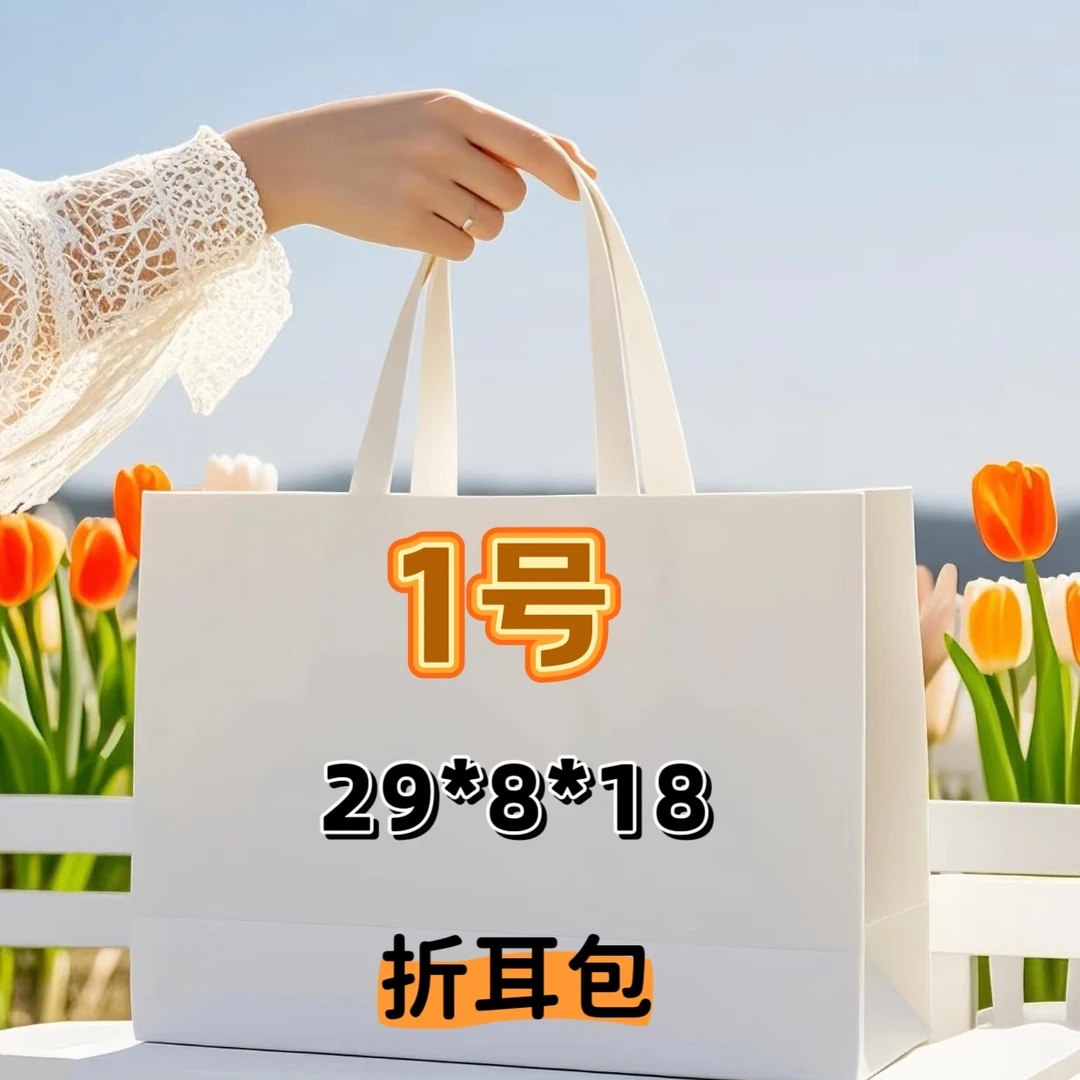 1号（H）新款高级感折耳包腋下包单肩斜挎链条包8519#