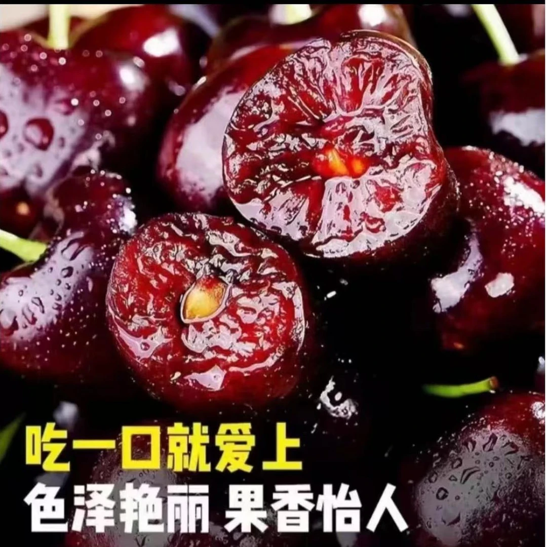 美早大樱桃新鲜水果现摘现发美早品种可检顺丰发货孕妇斤带箱5斤