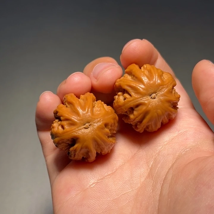 文玩核桃把件粗筋霸王龙032