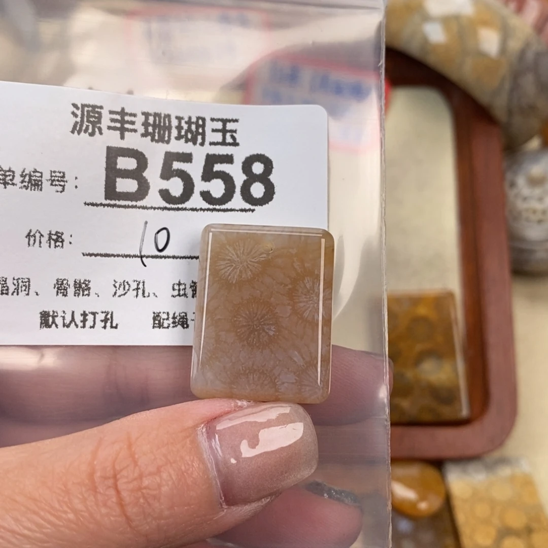 硅化玉颈饰未镶嵌L****J