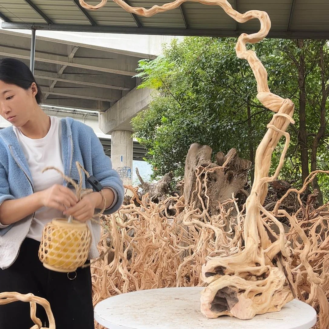 程***面木288积极积极积极积极了