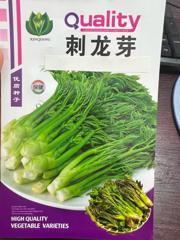 刺龙芽（刺老芽）种子