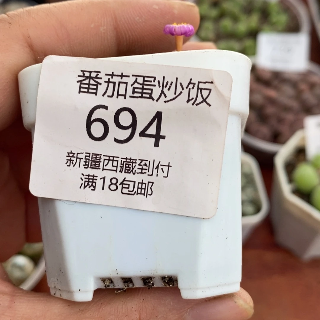 感谢您的支持，00694