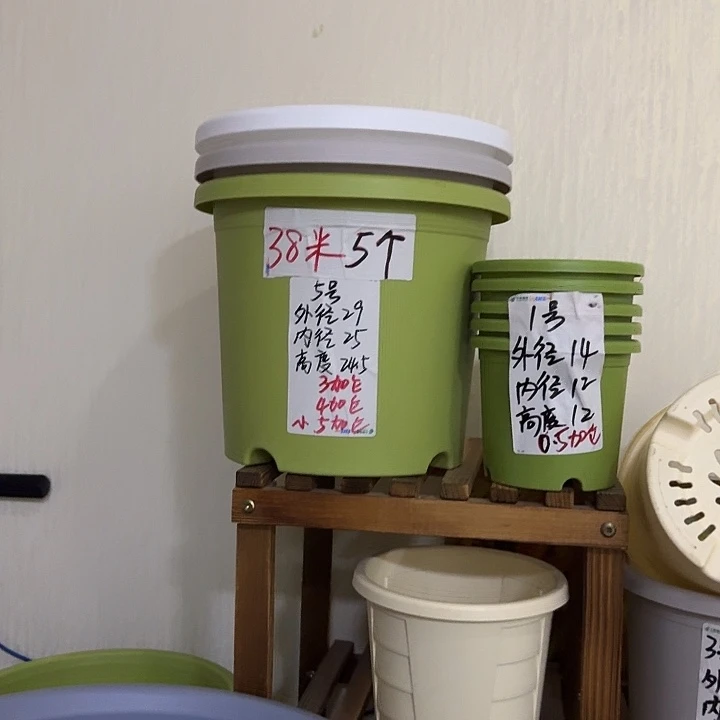 果绿色5号无托6个口径29