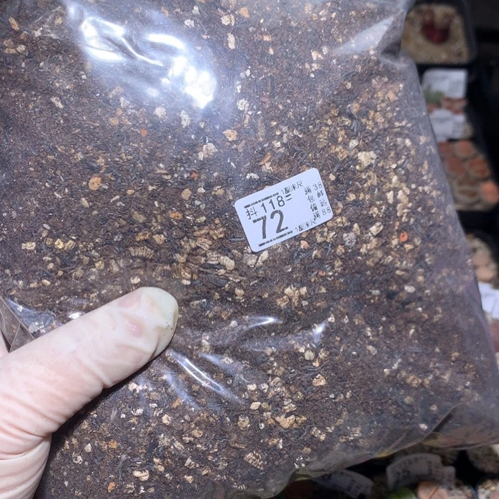 精品生石花118.73