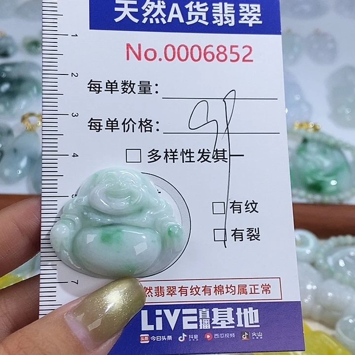 翡翠未镶嵌颈饰6852