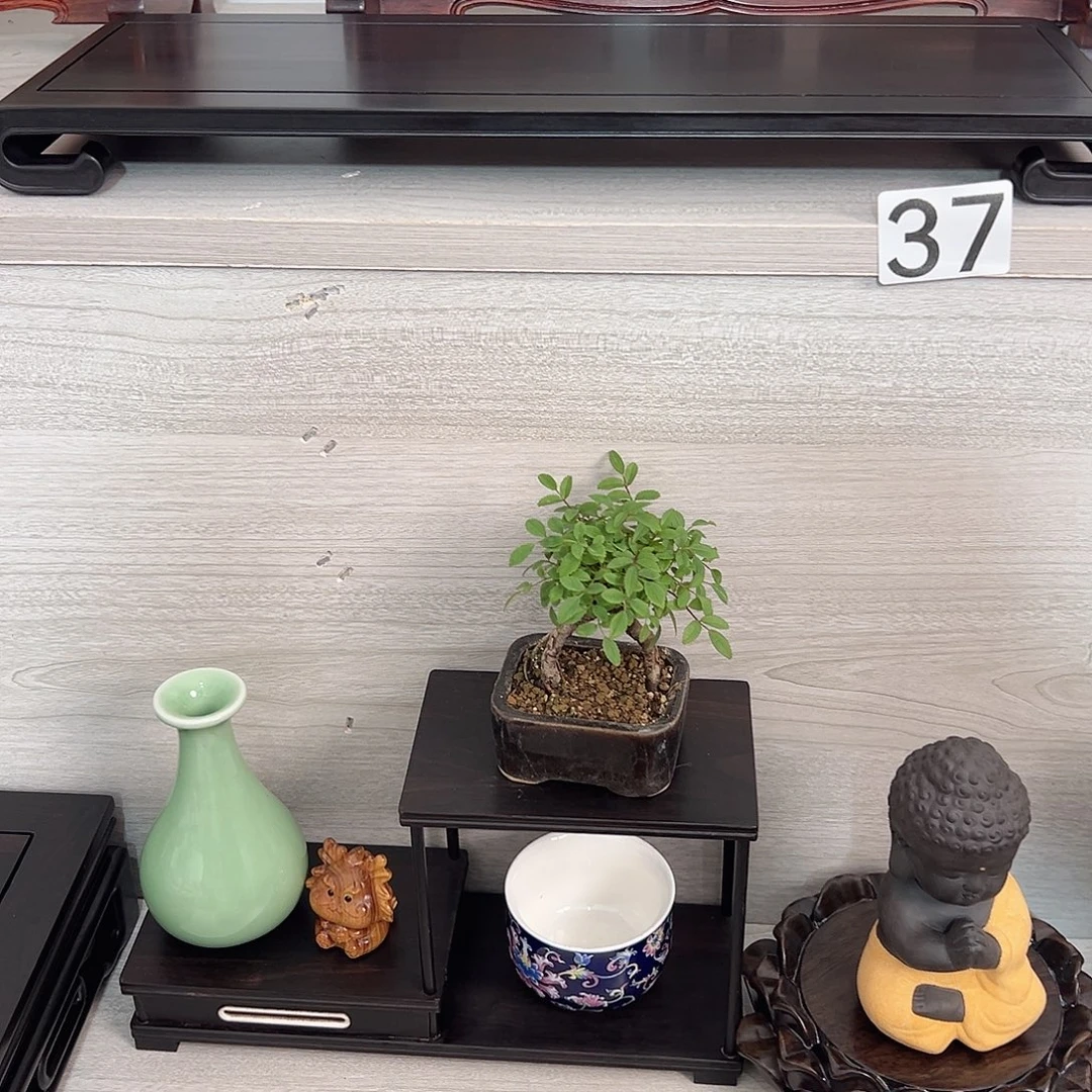 东非黑黄檀（紫光檀）书卷摆台