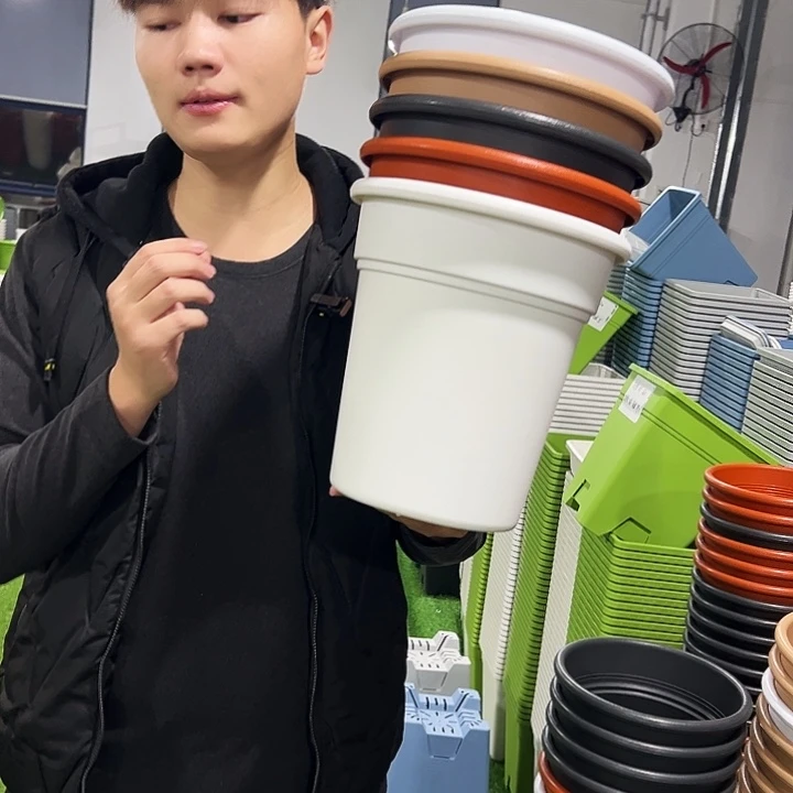 清仓翻边口23高25混色5只无托
