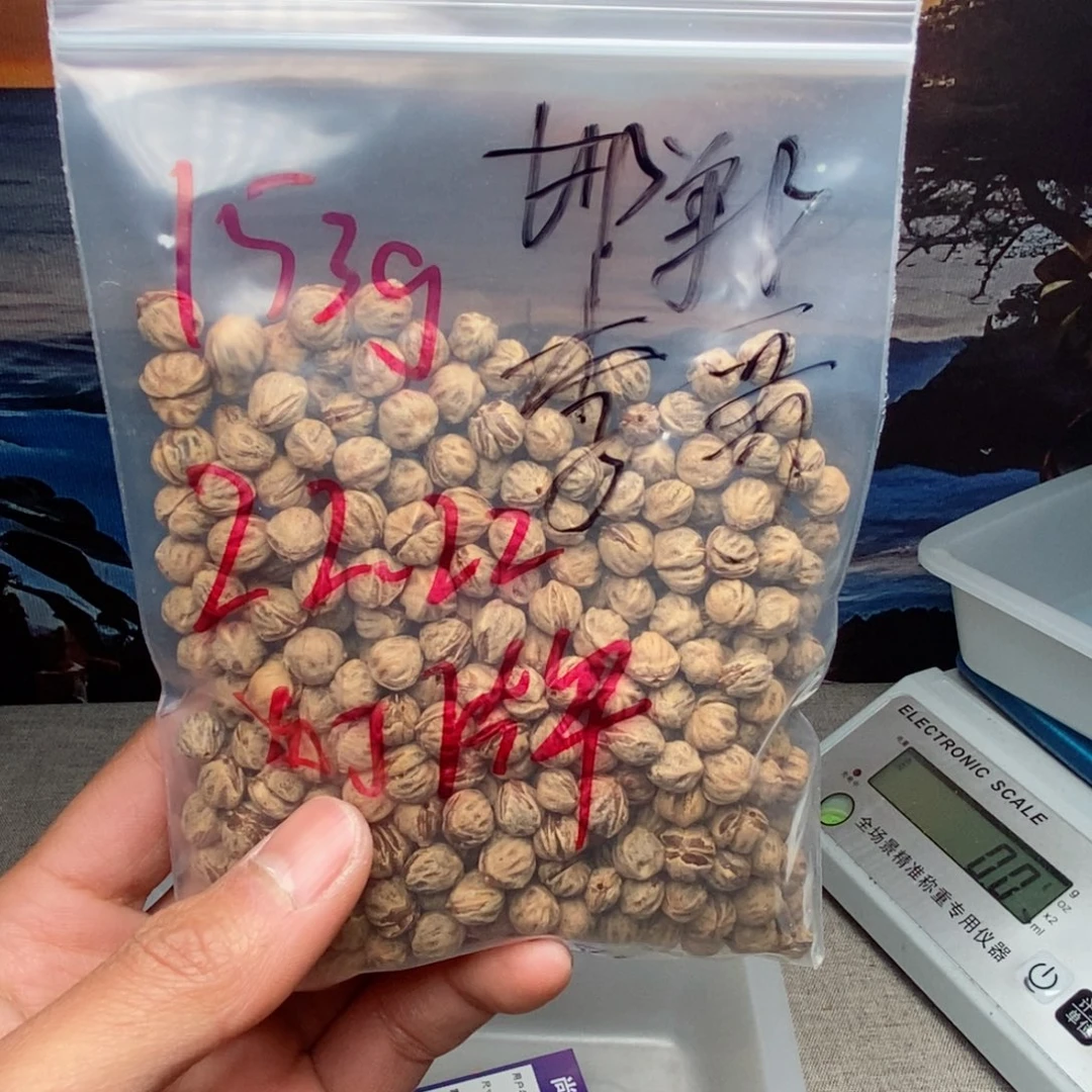 柏香籽/百香籽吊坠邯****杨