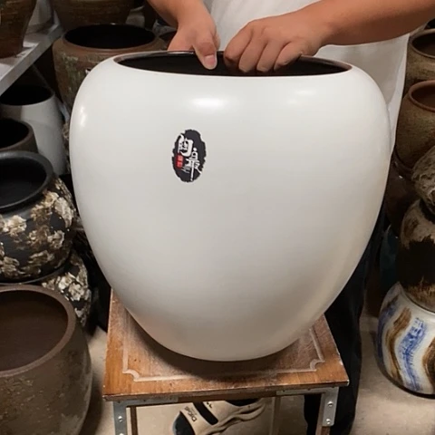 口26高度36白色888