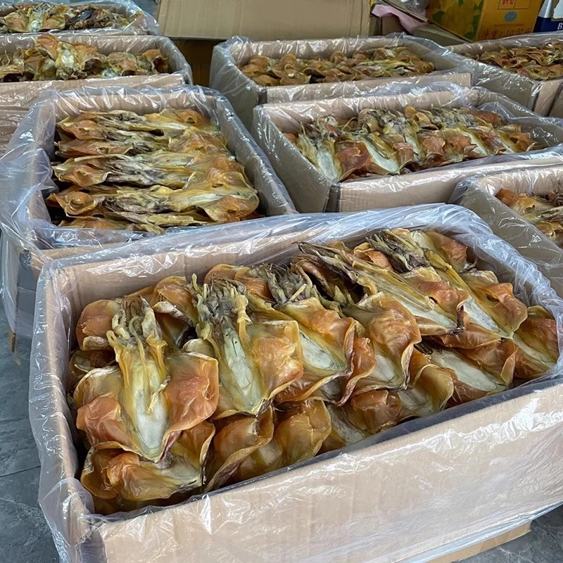 舟山东海船晒大墨鱼干500g深海乌贼干大目鱼海鲜大礼包干货煲汤