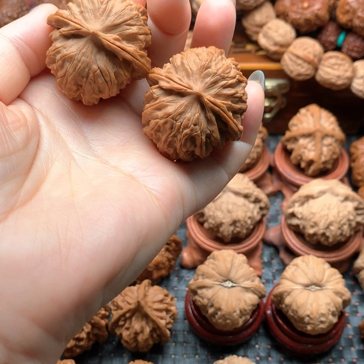 承德元宝全品无修