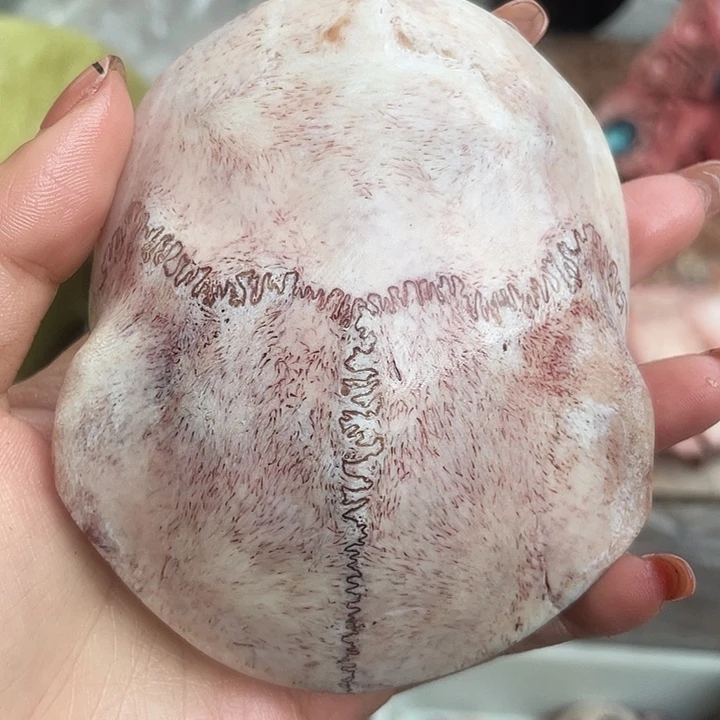 养殖鹿骨三界牌子