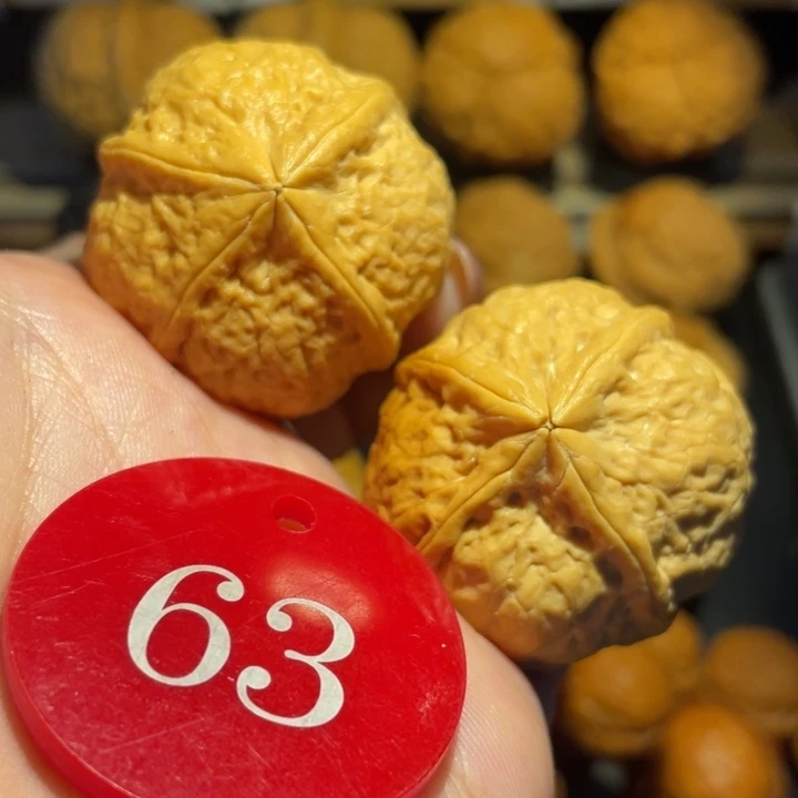 佛塔四棱核桃尺寸37