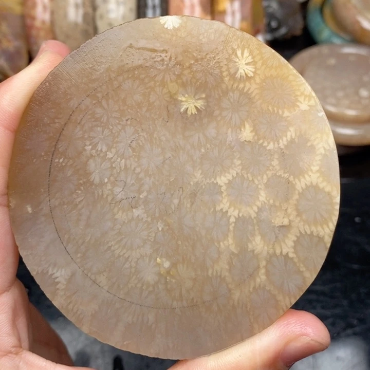 硅化珊瑚（珊瑚玉）手镯未镶嵌