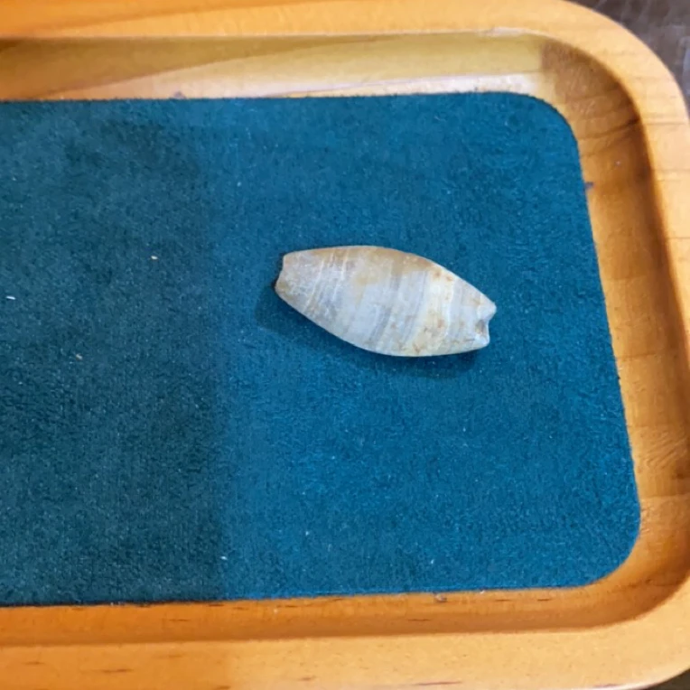 藏地密码，藏式珠子a465