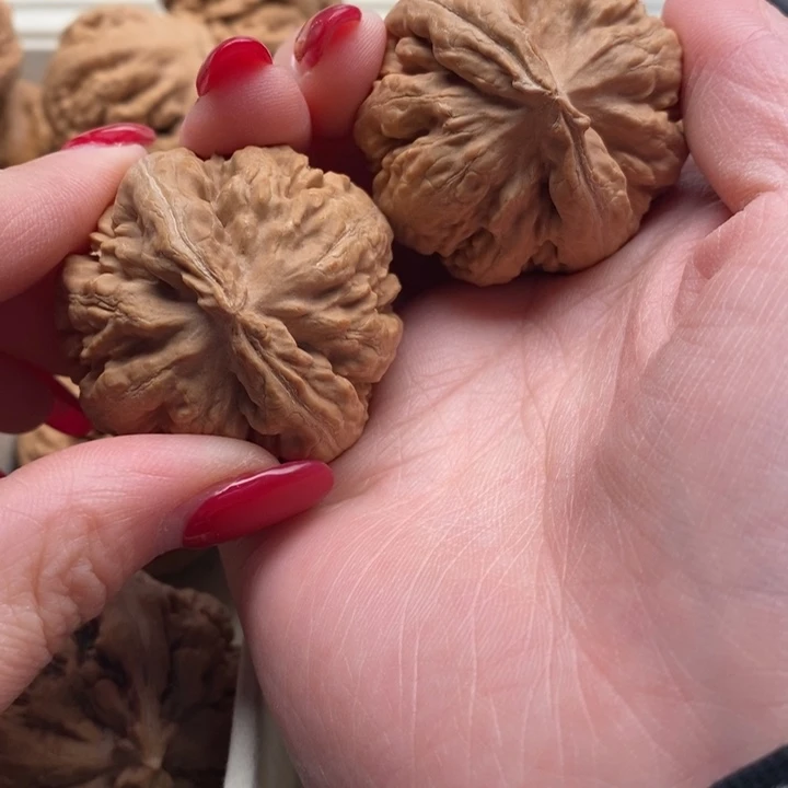 g***g把件文玩核桃霸王龙