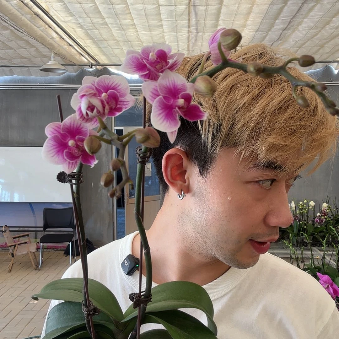 完全开放可爱多双