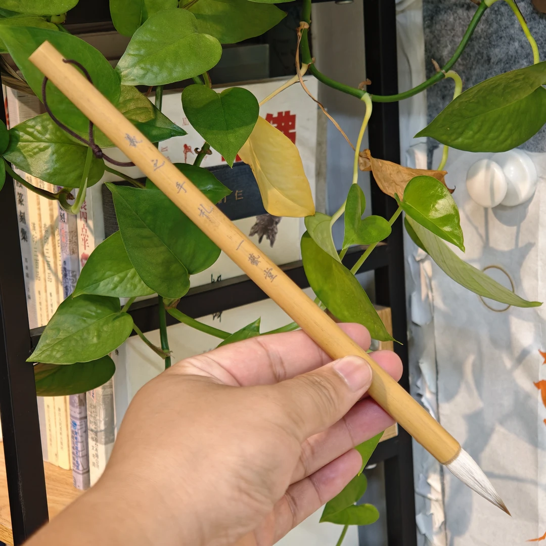 羲之手札笔头3.7㎝×0.95㎝培训班艺考生专用中楷毛笔弹性好五体通用