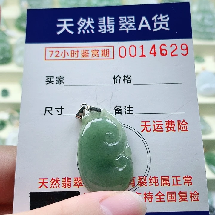 颈饰未镶嵌翡翠吊
