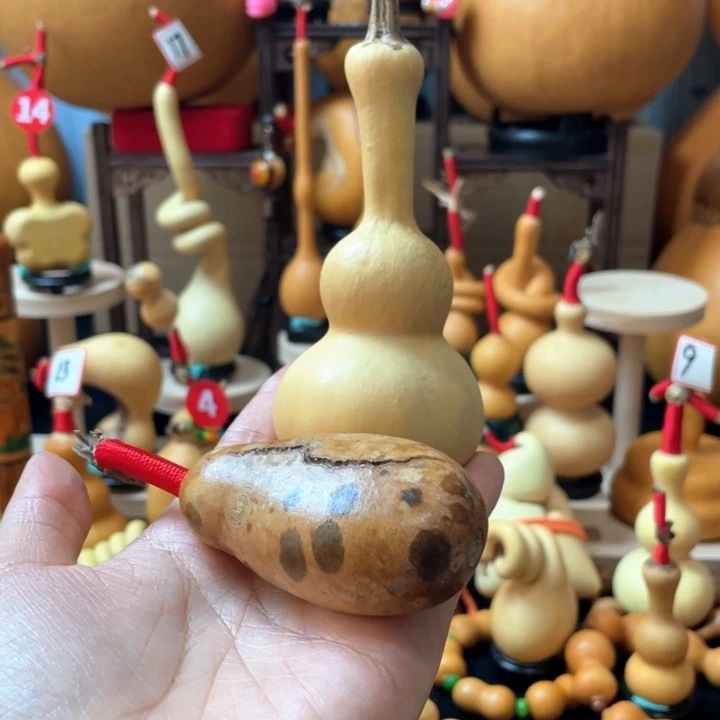 乐***吾不会吧了不少新手宝宝