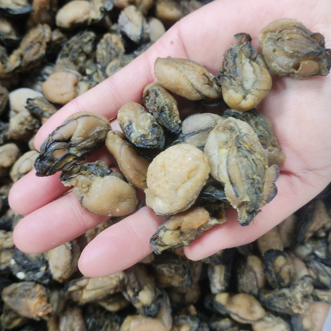 批发特大生蚝干北海印象新鲜淡干牡蛎干海鲜产品干货干蚝豉海蛎子