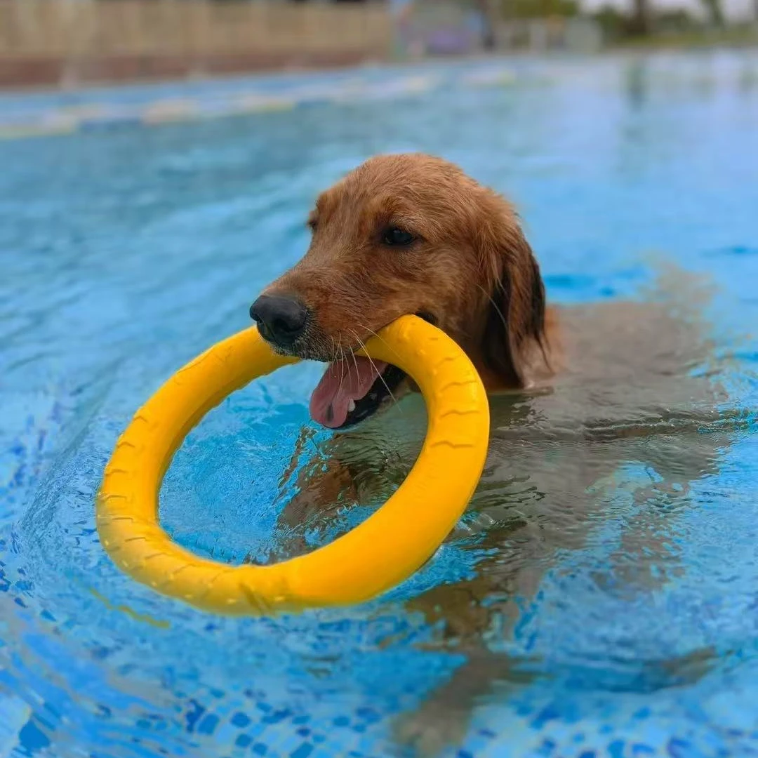 狗狗玩具大型犬互动圆环金毛浮水拉环狗球磨牙耐咬解闷逗狗神器qy