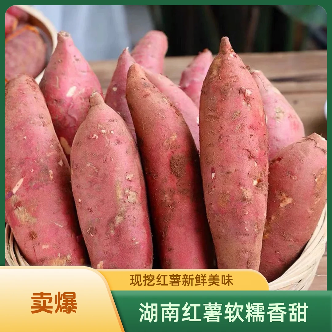 湖南耒阳农家老品种红薯地瓜当季红薯软糯香甜孕妇宝宝可吃