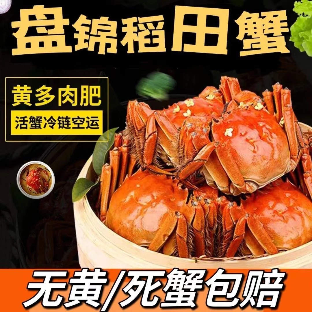 【活蟹】盘锦河蟹（0.9-1.2）两母蟹25只家庭过瘾装嘎肥嘎香顺丰包邮