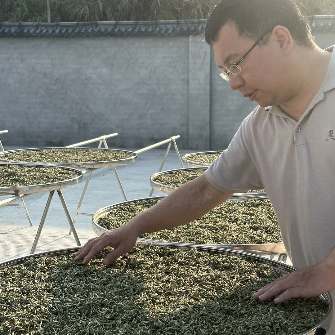 叶芽泉【马上有福年】2025贡眉银针