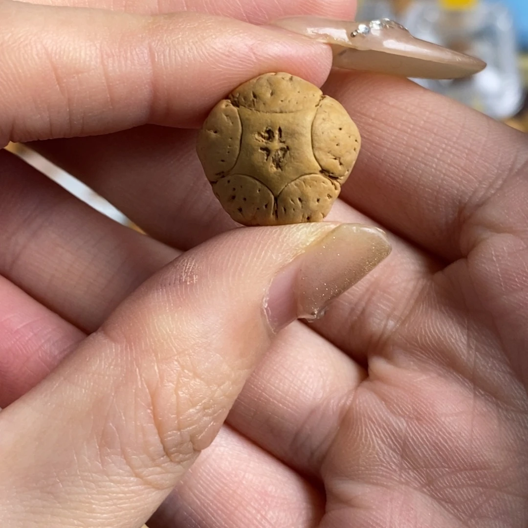 吊坠凤眼菩提五星上将18